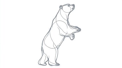   Drawing of bear standing on hind legs with open mouth and raised front paws