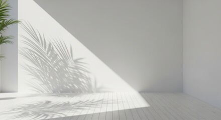 Bright white room with palm shadow cast by sun on wall and wooden floor creating a serene mood.
