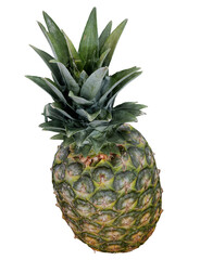 Isolated Rotated Pineapple Fruit Photorealistic 3D Illuistration on Transparent Background
