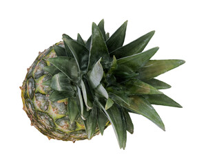 Isolated Rotated Pineapple Fruit Photorealistic 3D Illuistration on Transparent Background