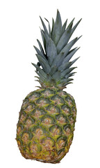 Isolated Rotated Pineapple Fruit Photorealistic 3D Illuistration on Transparent Background