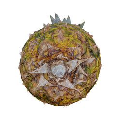 Isolated Rotated Pineapple Fruit Photorealistic 3D Illuistration on Transparent Background