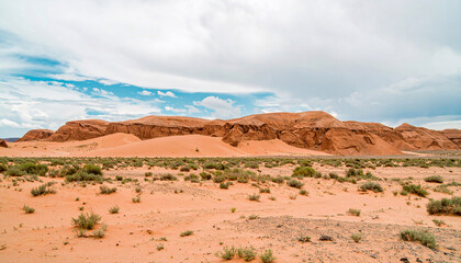 Vast Desert Landscape: Arid Sands & Distant Mesas Under Cloudy Sky