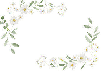 Watercolor illustration of delicate white flowers and green stems on a transparent background, evoking tranquility and elegance. AI generated.