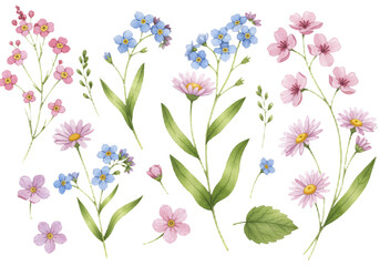 Watercolor illustration of pastel flowers, including roses and daisies, with green leaves on a plain white background. AI generated.