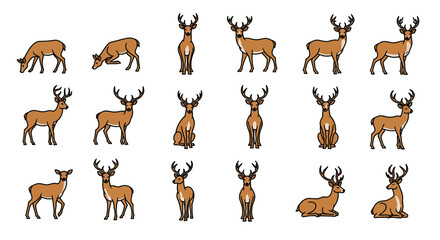 Fototapeta premium Collection of Brown Deer Illustrations in Various Poses