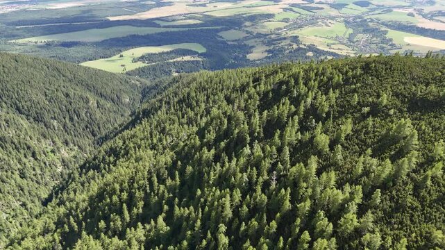 Aerial view of the dense green forest meeting the open fields, creating a beautiful contrast, ziar, zilina Region, Slovakia.