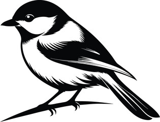 Chickadee bird silhouette, songbird line art, minimal wildlife vector, perched bird drawing, nature illustration design