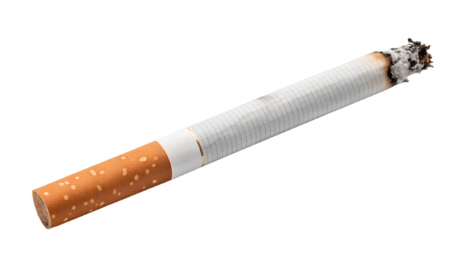Single Smoldering Cigarette with Ash