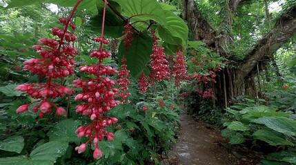   Path surrounded by dense green foliage, adorned with red blossoms along sides, leading to towering tree in background