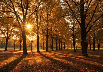 Golden sunbeams filter through autumn trees casting long shadows on a leafcovered park path