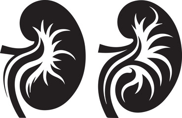 Set of Kidney Vector Silhouette
