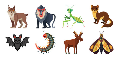 Fototapeta premium A Cute Vector Cartoon Animal Set: Lynx, Baboon, Praying Mantis, Weasel, Bat, Centipede, Moose, Moth; Flat Style Illustrations