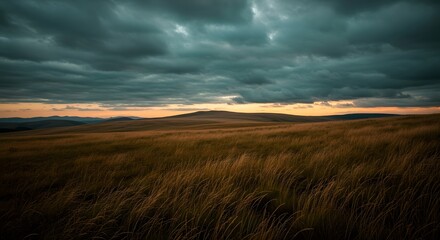 Fototapeta premium Dramatic Landscape Golden Field Under Stormy Sky - Tranquil Meadow View