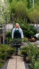 Portrait of a happy female gardener against the backdrop of bright greenery in her garden. The...