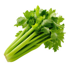 Isolated Green Celery Stalks Group in white Background PNG Image