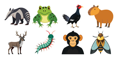 Cheerful a Vector Cartoon Animal Set:  Anteater, Frog, Capybara, Chicken, Deer, Centipede, Chimpanzee, Moth.
