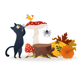 Curious cartoon black cat looking at a bird on a fly agaric mushroom. Autumn leaves, pumpkins and a spider add seasonal and Halloween vibes. Funny emotional vector illustration for posters and cards