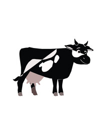 black and white bull