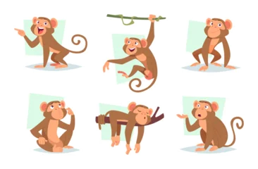 Selbstklebende Fototapeten Zoo Monkey. Wild jungle exotic animals in action poses exact vector collection of cute little monkey  © ONYXprj