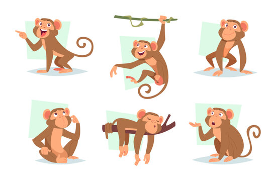 Monkey. Wild jungle exotic animals in action poses exact vector collection of cute little monkey