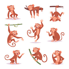 Monkey. Little funny animals wild monkey playing exact vector cartoon template © ONYXprj