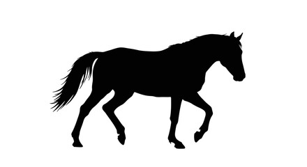 Elegant Horse Silhouette Walking Against a White Background in Profile View