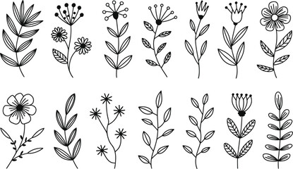 Set of twelve black and white floral and leaf illustrations
