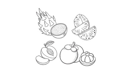 Exotic Fruits Line Art Illustration Featuring Dragon Fruit Pineapple Peach and Mangosteen