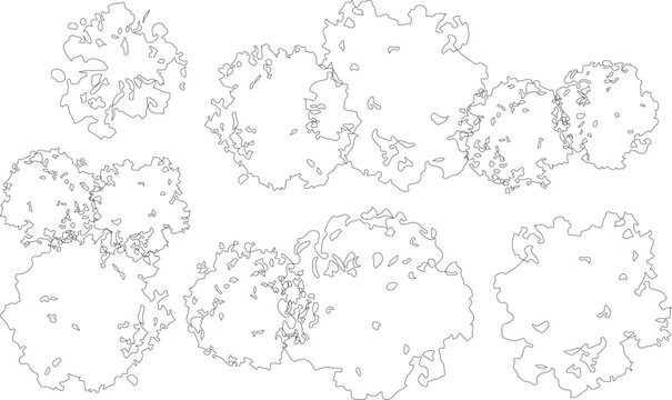 Tree Top View Group Outline Vector Illustration for Landscape Design and Urban Planning