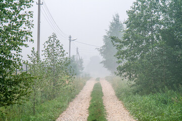 Foggy country road with trees and power lines in misty morning landscape.