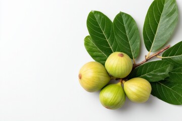 Fresh green figs with vibrant leaves arranged on a white background, showcasing natural texture and freshness.