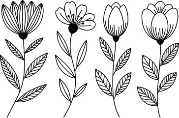 Four detailed line art flower illustrations floral