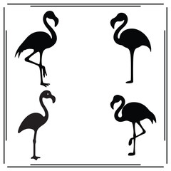 Silhouette of Flamingo Birds in Various Poses - Black and White Minimalist Tropical Animal Illustration, Elegant Flamingo Silhouettes for and Design
