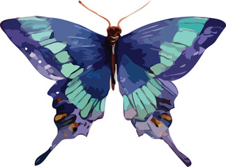 butterfly vector art