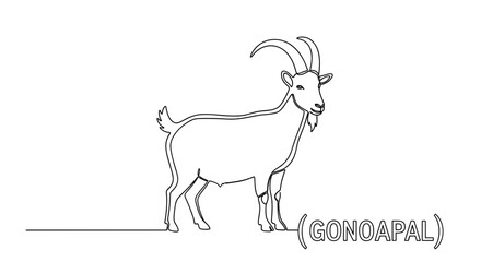 Line art illustration of a goat standing with a simple design  