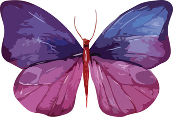 butterfly vector art