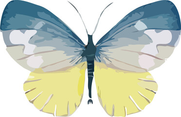butterfly vector art