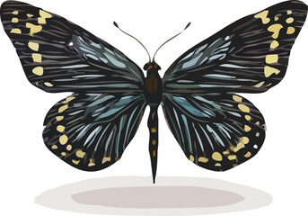 butterfly vector art