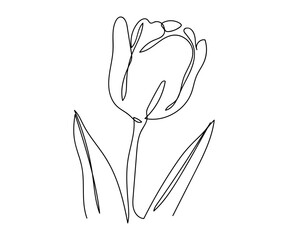 Continuous vector art line. Single flower only. Isolated transparent background. editable stroke.