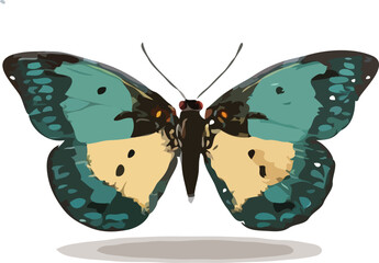 butterfly vector art