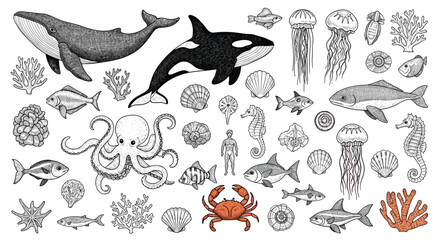 Captivating collection of marine life illustrations showcasing diverse underwater creatures