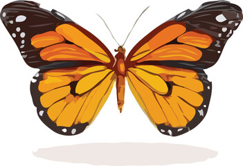 butterfly vector art