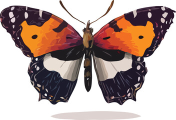 butterfly vector art