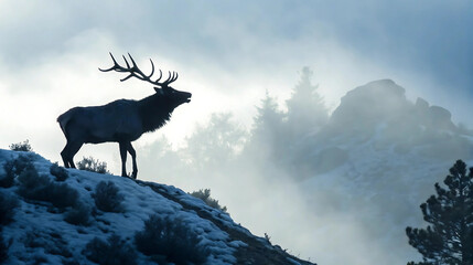 A majestic elk with antlers stands on a snowy hilltop surrounded by misty forest, evoking wilderness and calm winter atmosphere.