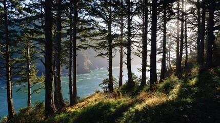 Fototapeta premium Sunlight filters through tree branches on hillside by body of water during bright weather