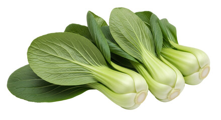 Isolated bok choy