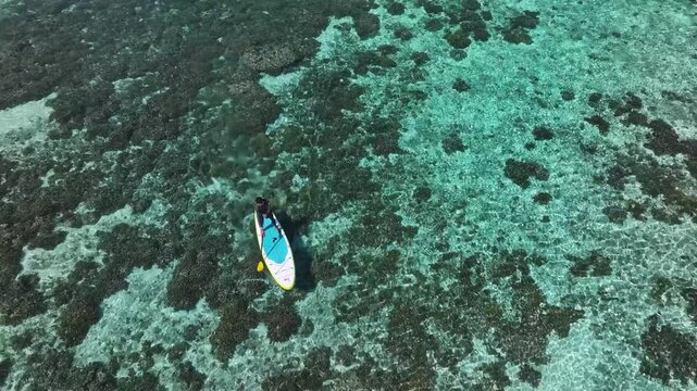Aerial view of a paddle board floating over a reef, the clear turquoise water contrasting with the dark reef below, Naavaidhoo, Haa Dhaalu City, Maldives.