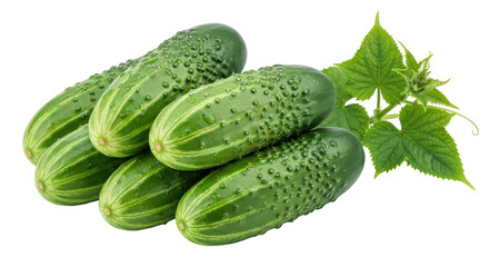 Isolated stack of fresh cucumbers with leaves