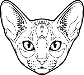 Abyssinian cat head front view outline icon vector
